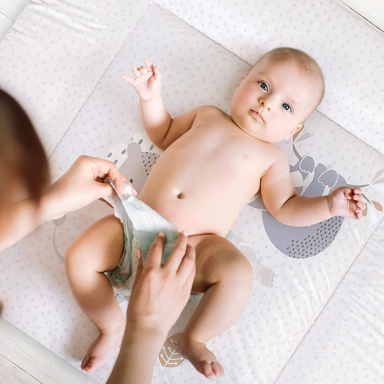 a6ce60a4c92cc9578a47d4596b9ae64e