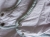20250407_123639.jpg