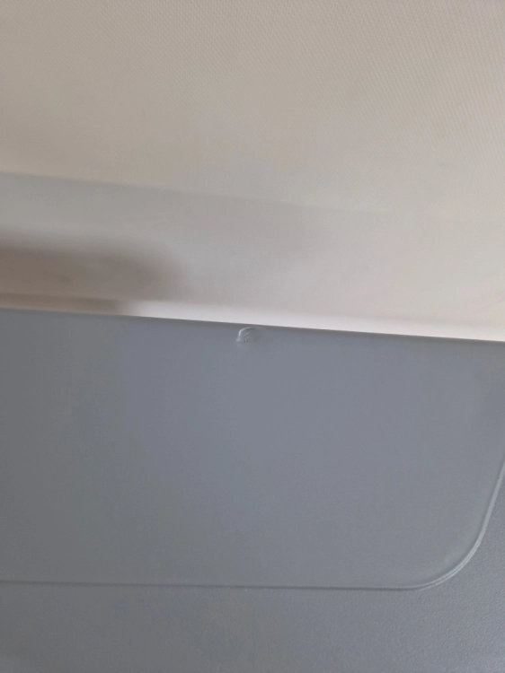 Ninja FrostVault Hard Cooler 47 l, lodówka, izolowany pojemnik chłodzący