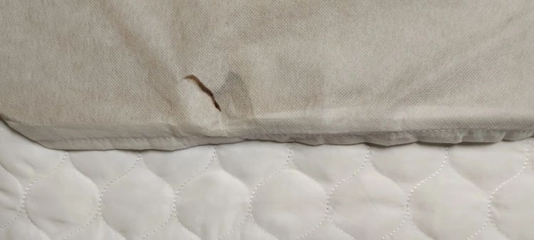Outlet LIONELO Aurora 3 w 1 Łóżeczko Dziecięce do 9 kg, Łóżko Dostawne, Kołyska, Regulacja Wysokości